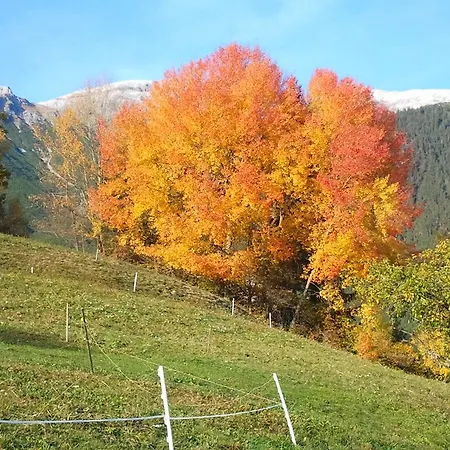 Gasthof Haus Vasul St. Anton am Arlberg