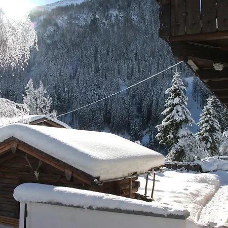 Haus Vasul Guest house